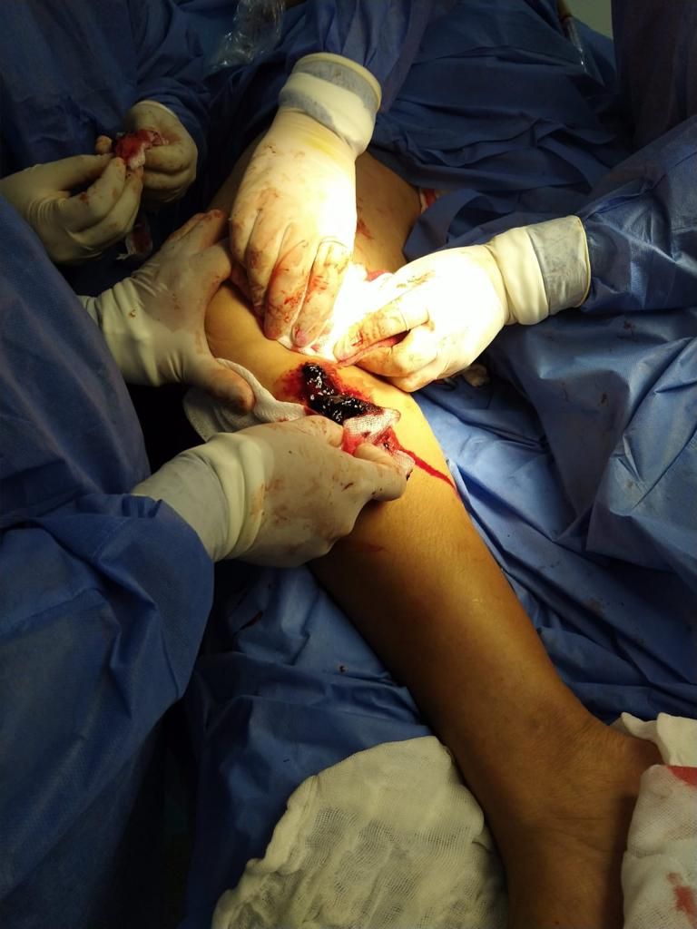 Paloma González Villegas-10