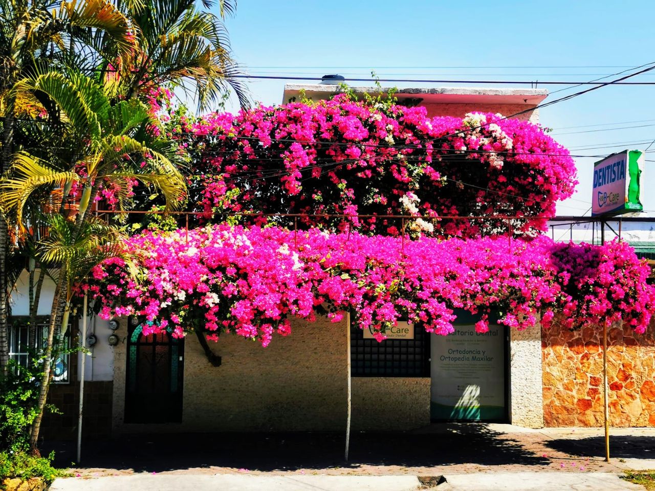 Berenice Nava De La Barrera-0