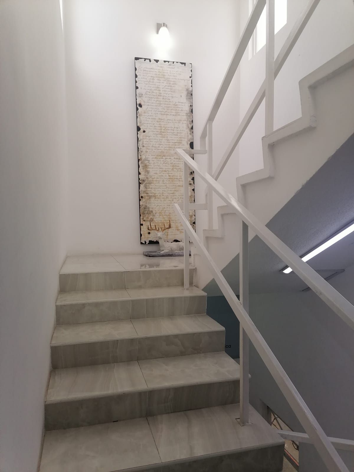 Isela Estrada Rodríguez-6