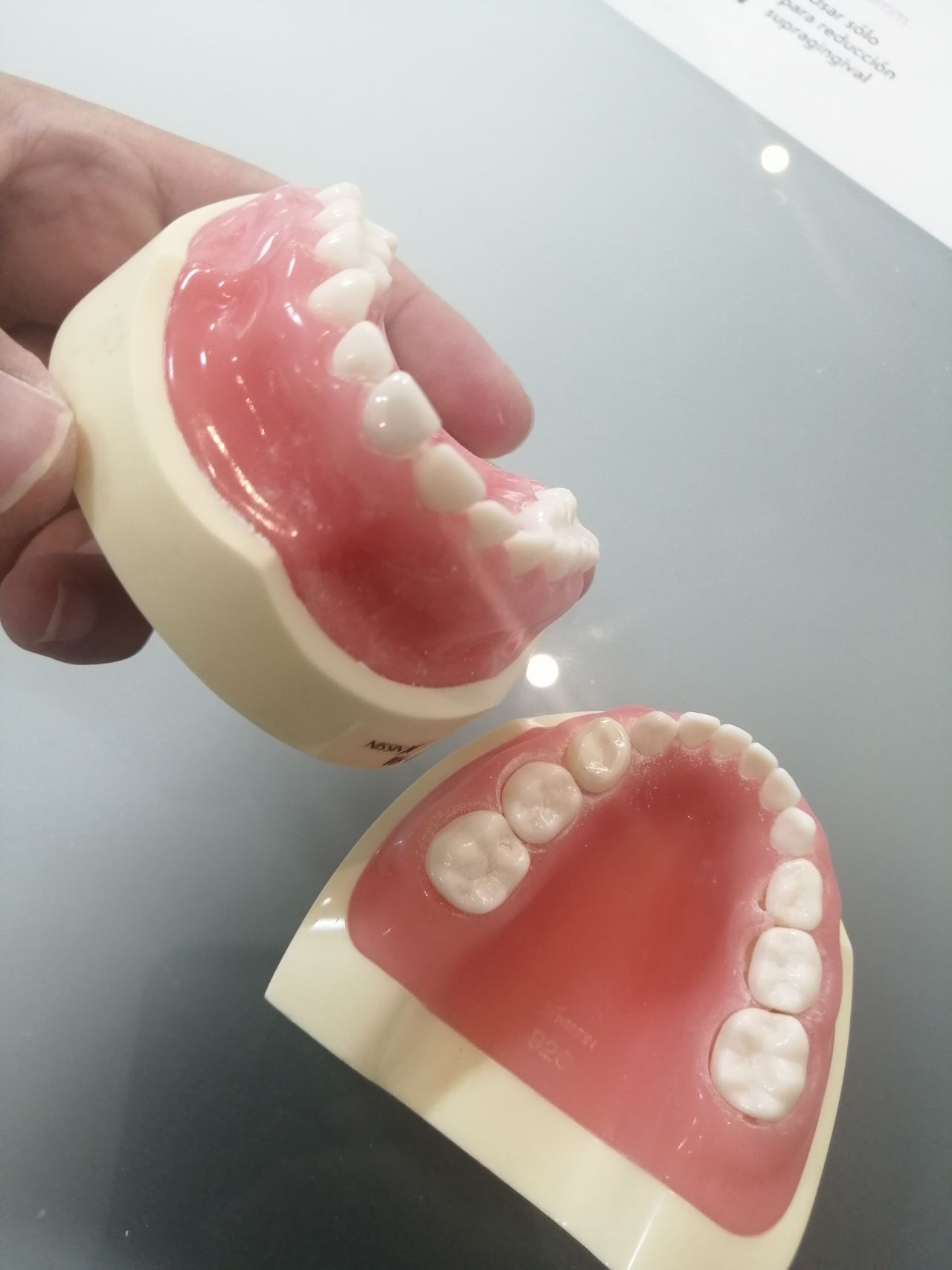 Karla Berenice Lopez Almazan-6