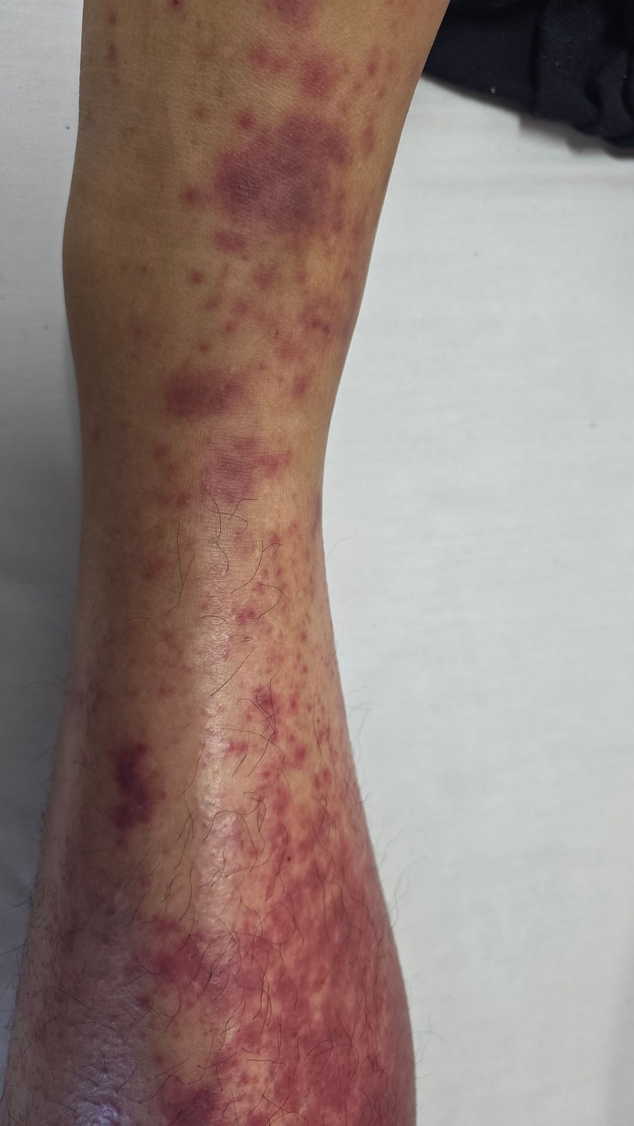 Perla Yulitzma Machorro Rascon-3