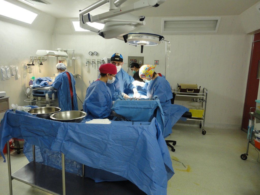 Mercedes Del Pilar Alvarez Goris-13