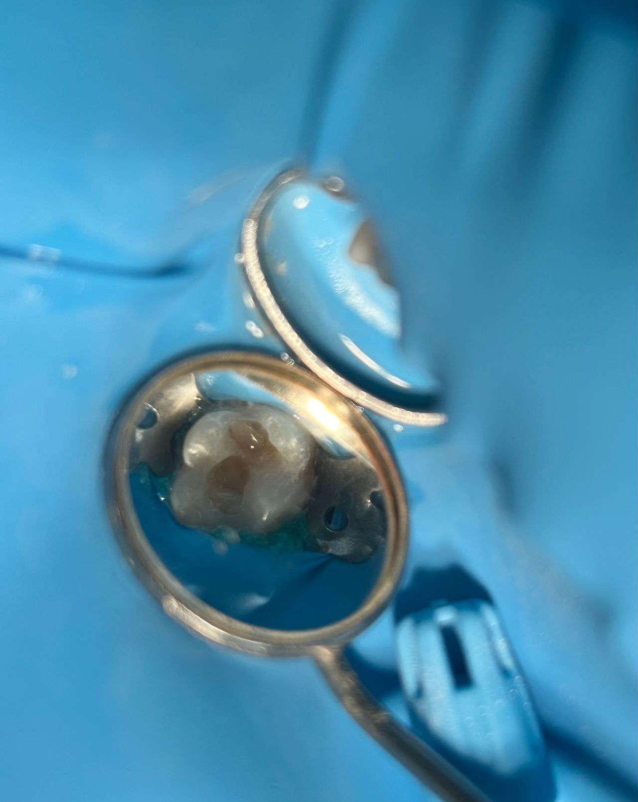 Sandra Carolina Cigala Martínez-13