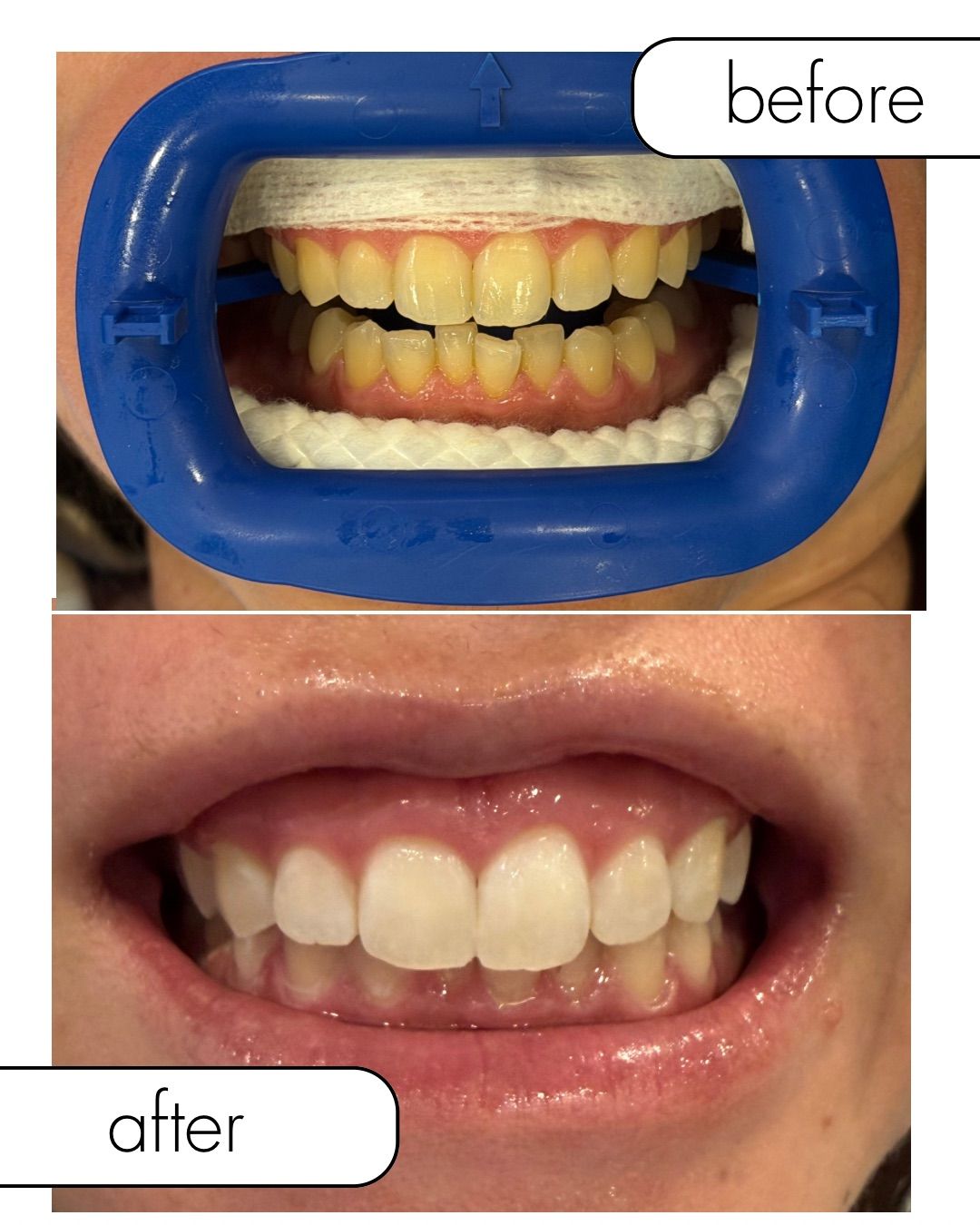 Adriana C Carrillo Castro-14