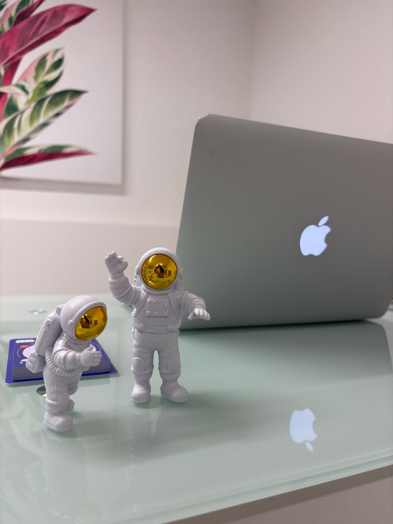 Pamela Garcia Rosso-6