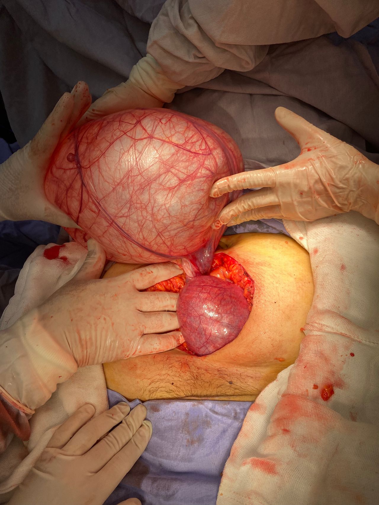 Luisa Paulina Noriega Jiménez-6