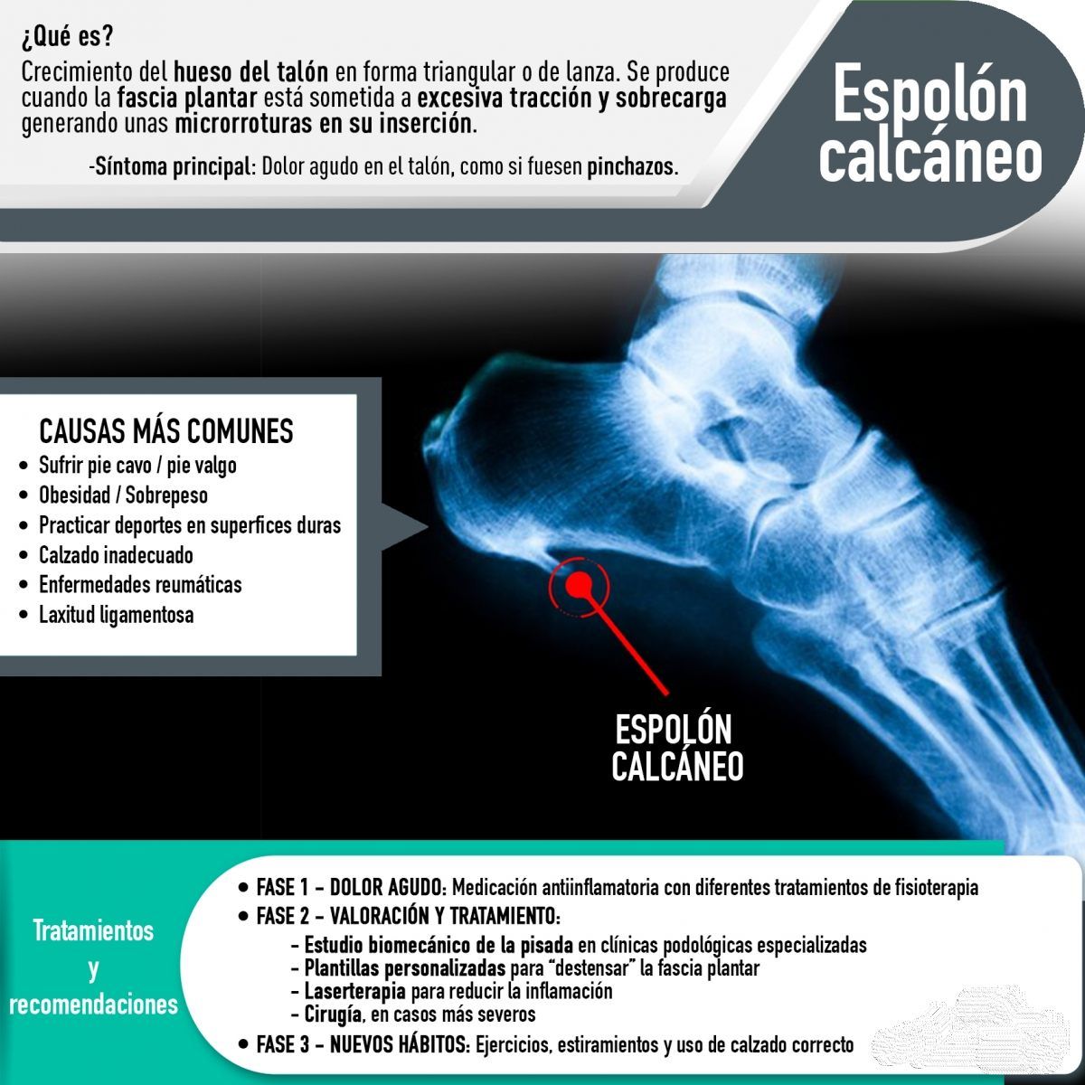 Marco Antonio Treviño Rivera-15