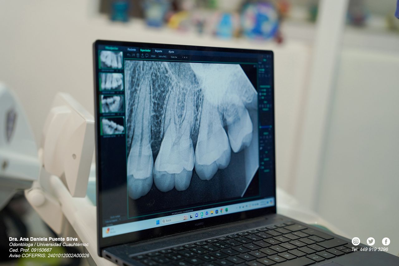 Ana Daniela Puente Silva-21