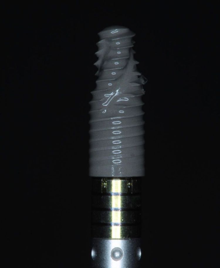 Agustin Salamanca Tapia-10