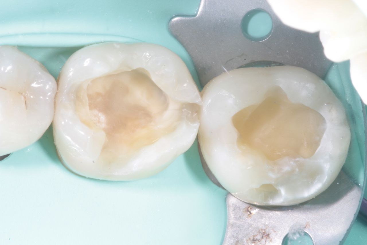 Danae Rocio López Gallegos-12