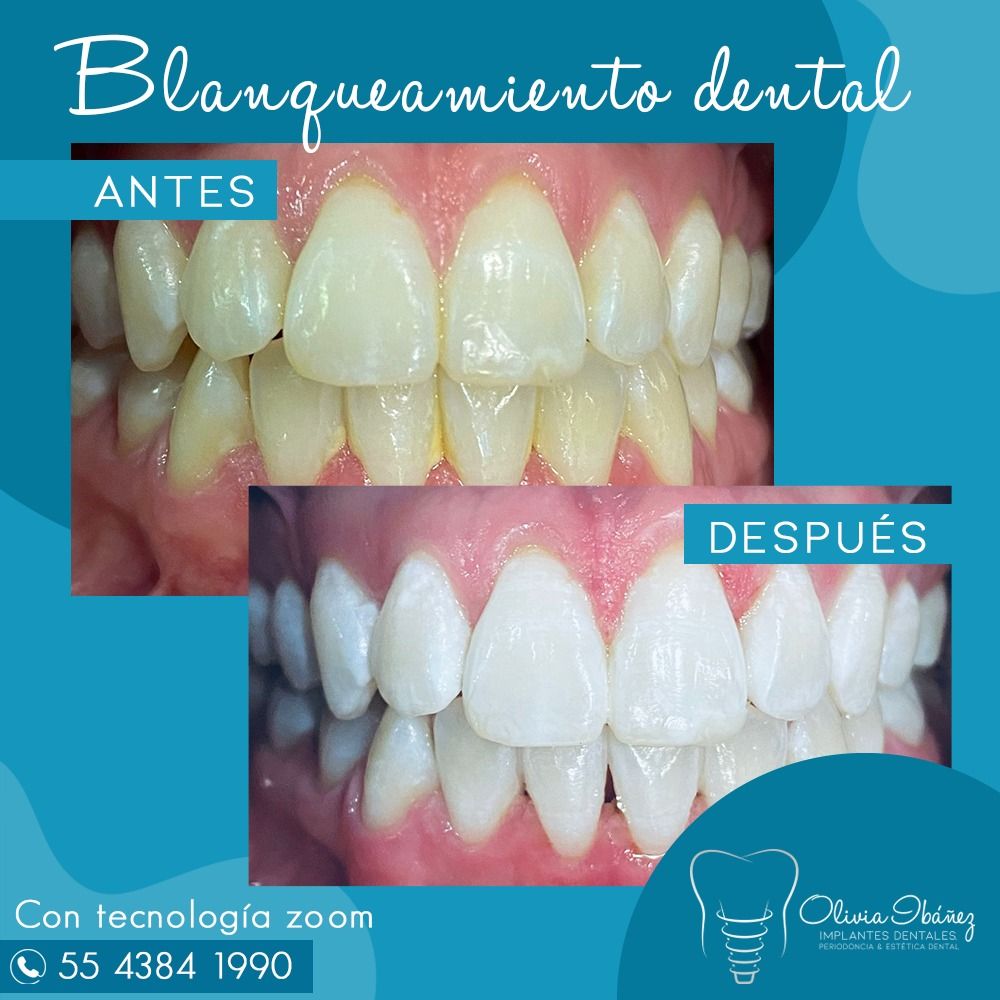 Olivia Ibañez Rojas-2