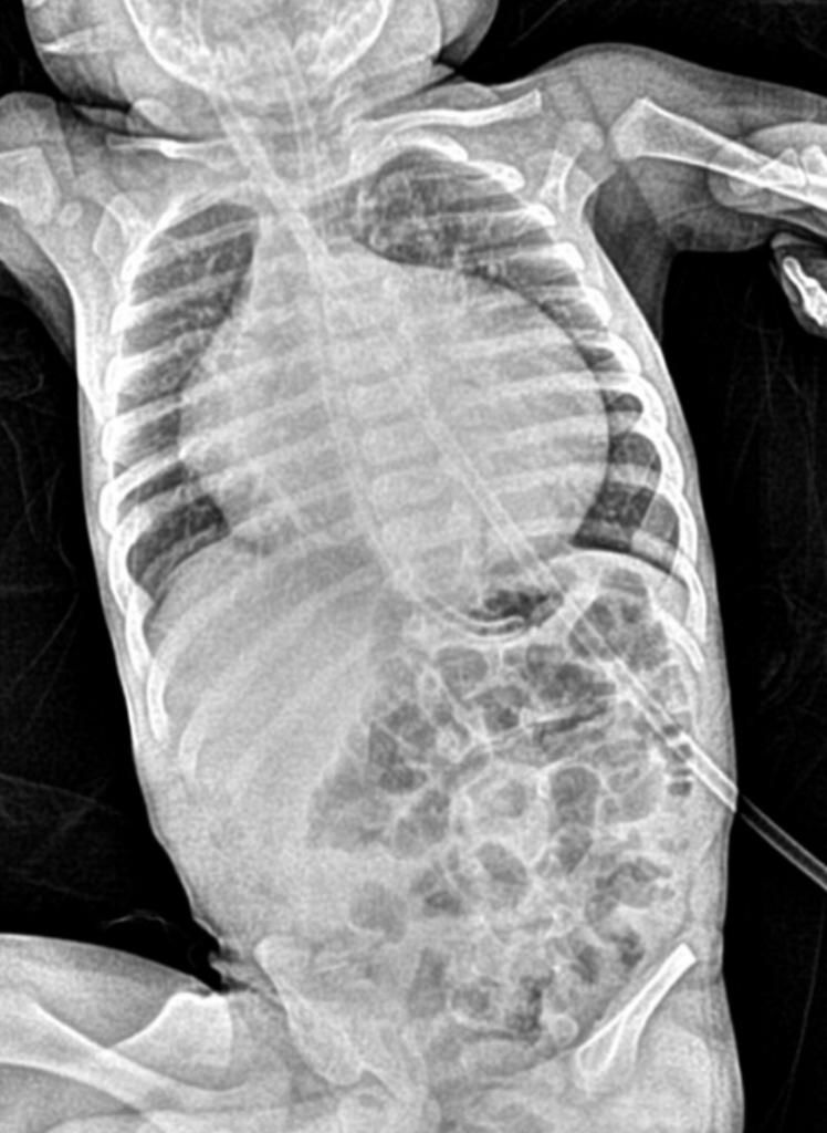 Christian Nava Bello-12