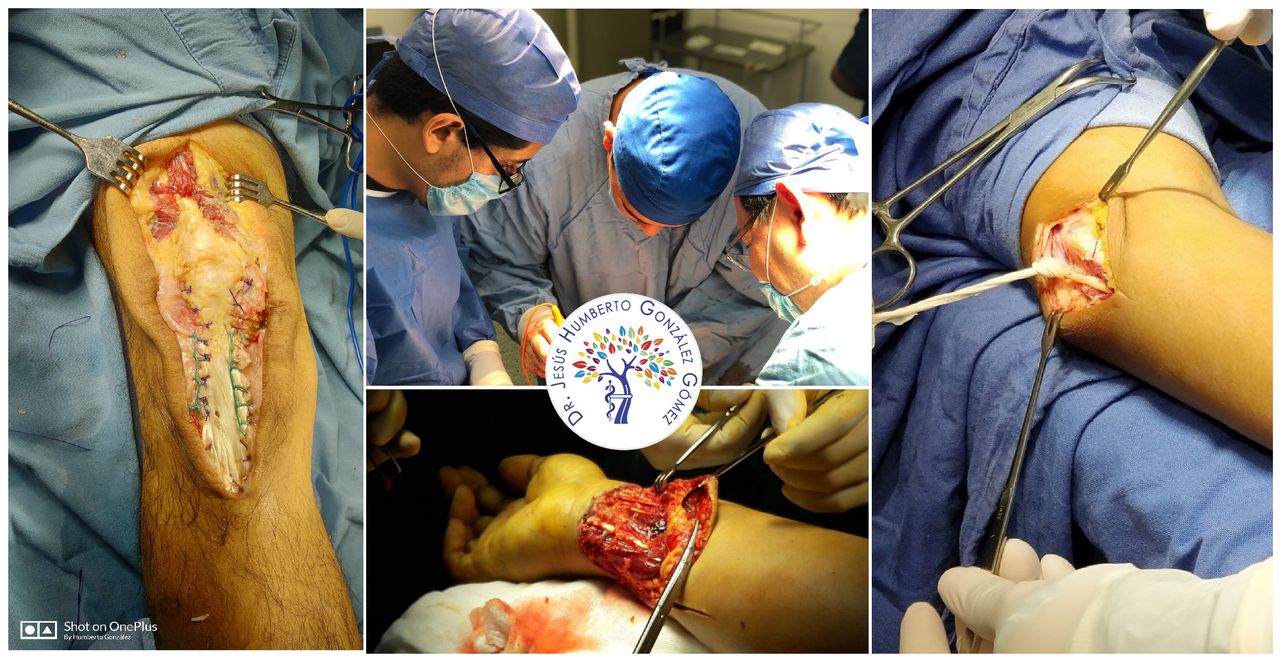 Jesús Humberto González Gómez-0