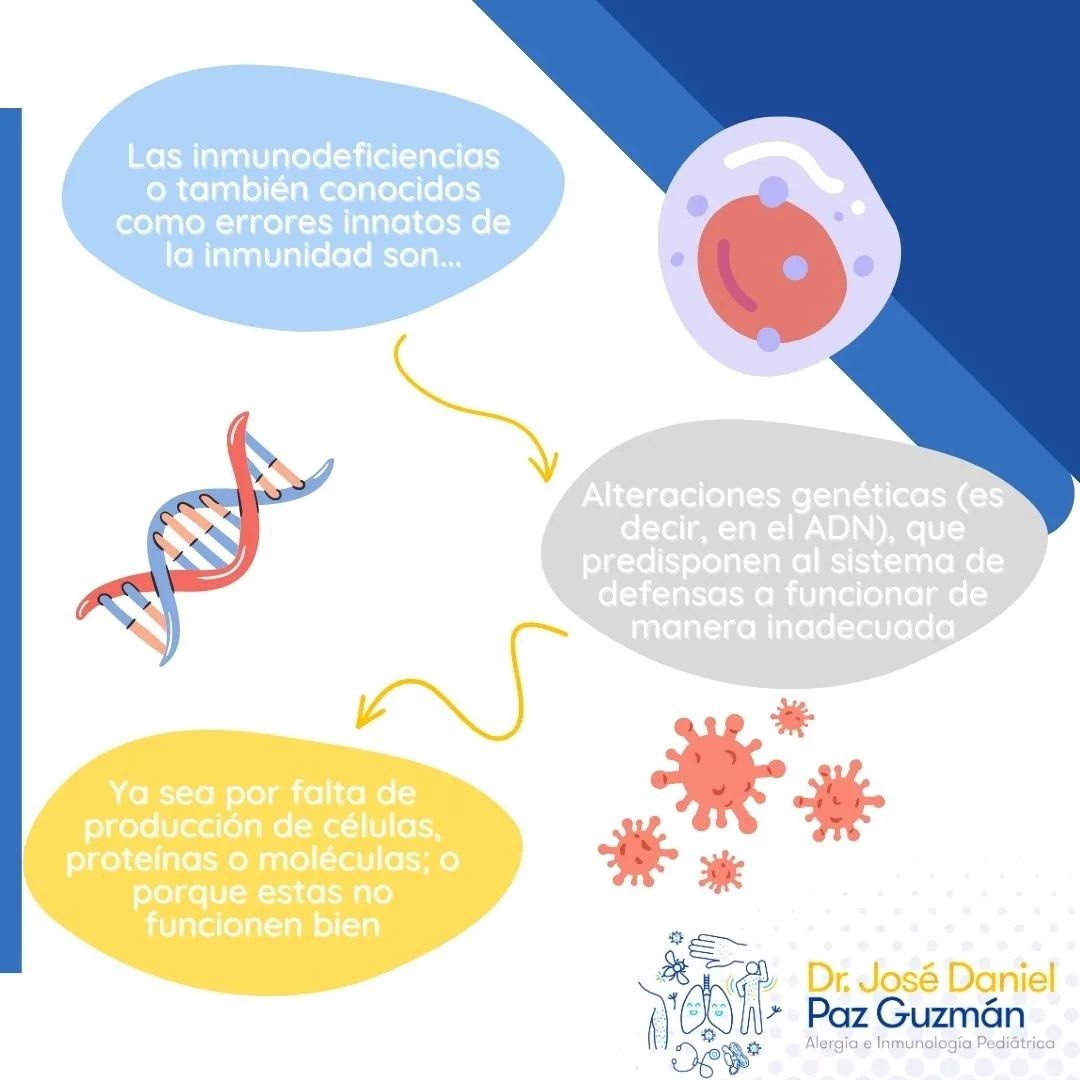 José Daniel Paz Guzmán-11