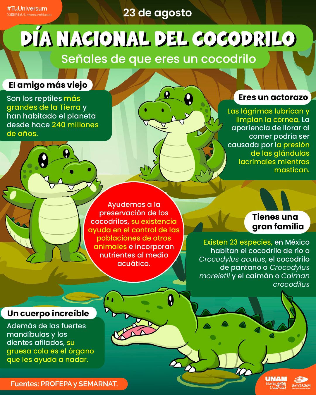 Raymundo Alejandro Cuevas Escalante-231