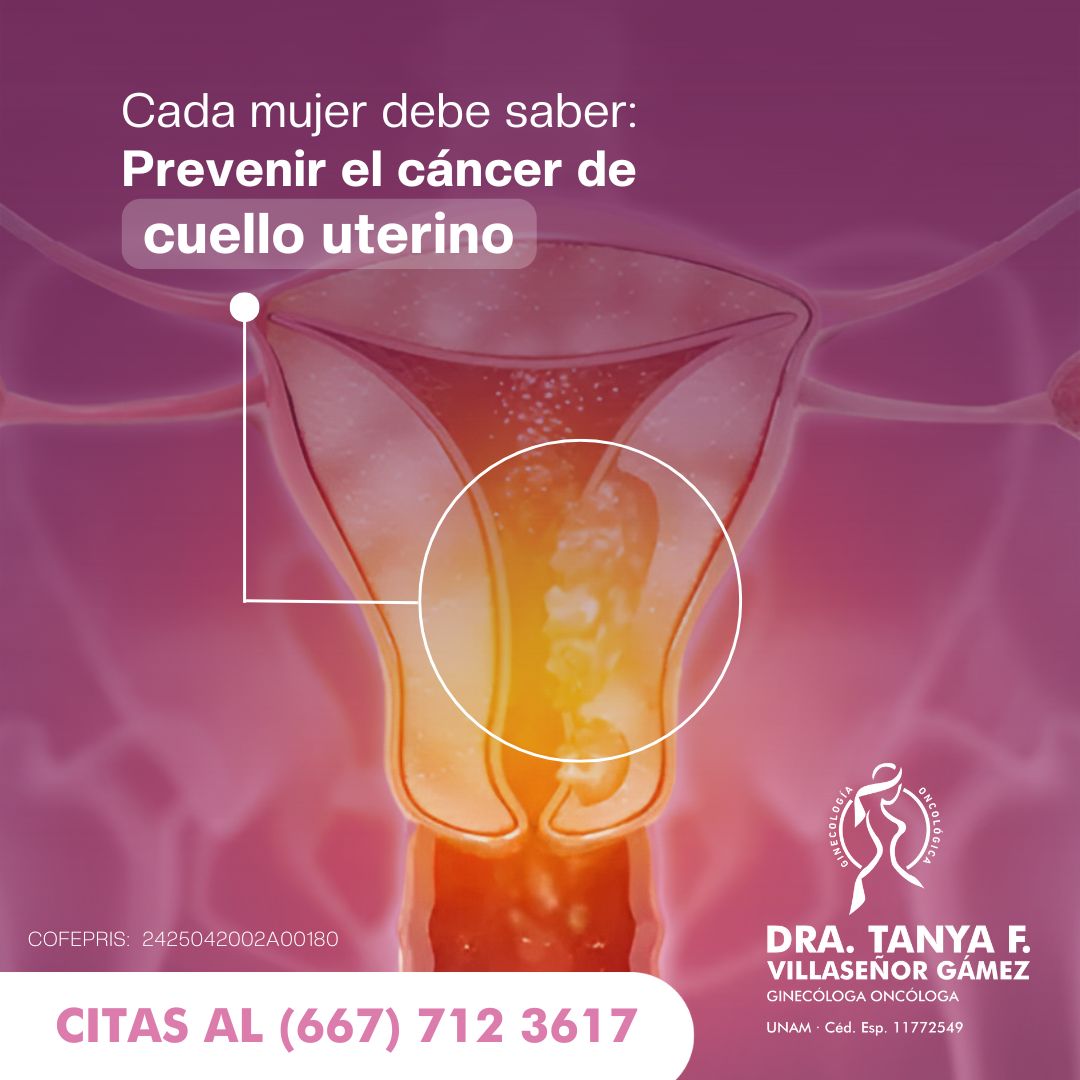 Tanya Fabiola Villaseñor Gámez-16