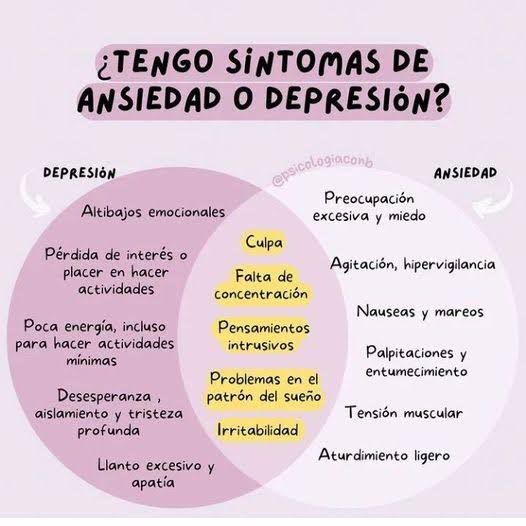 Elizabeth Rodriguez Bosch-12