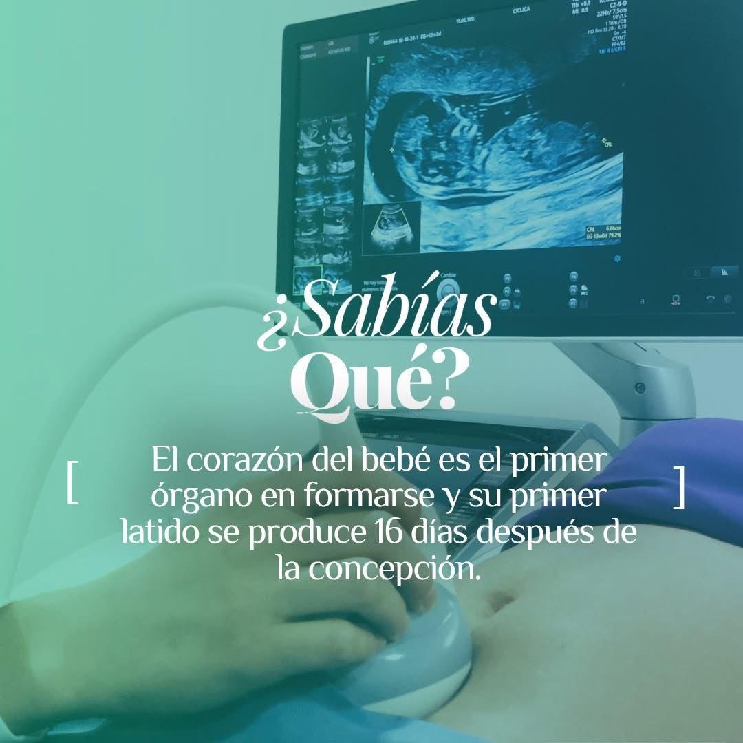 Gonzalo Hernández Martínez-52