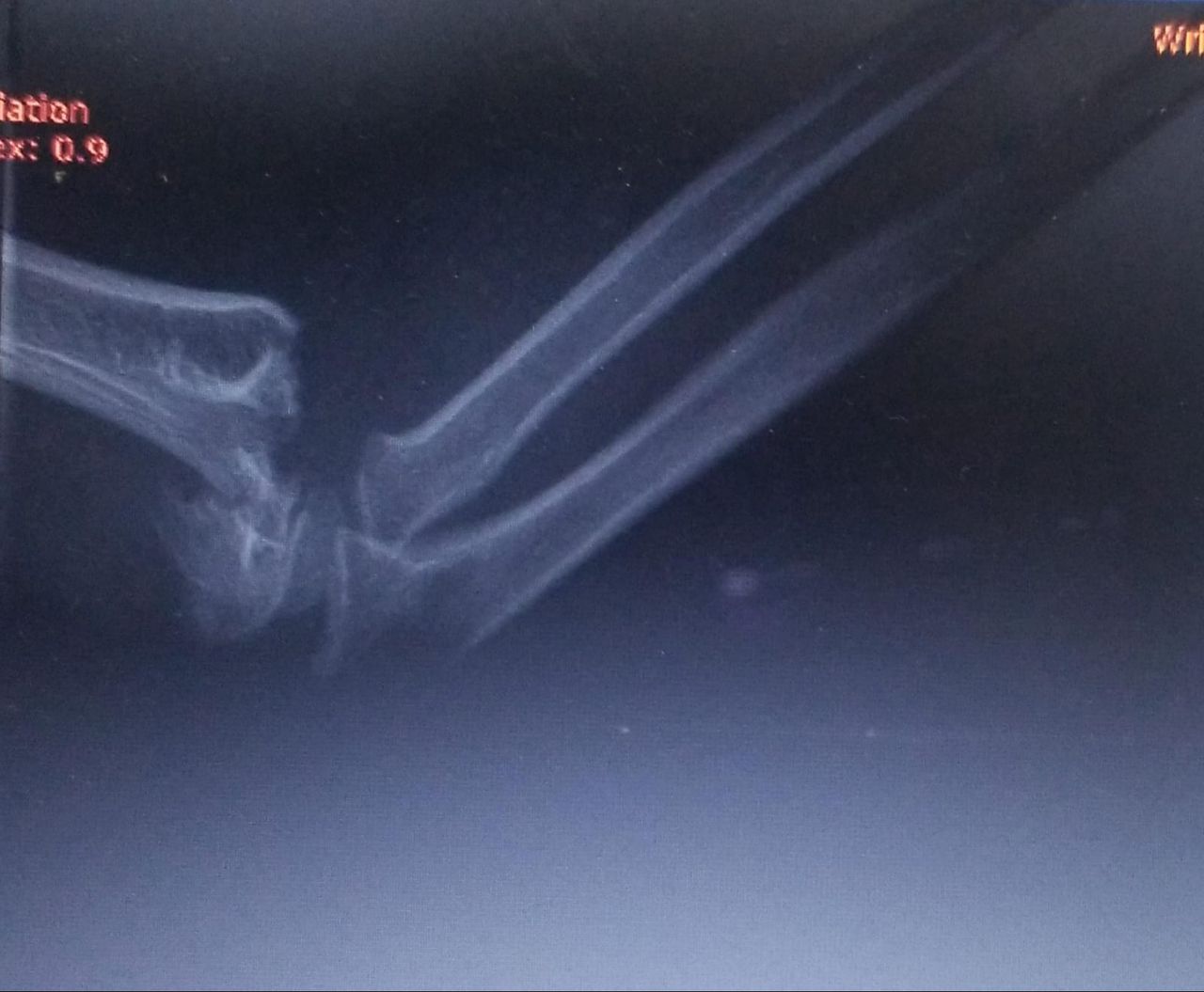 Jesus Manuel Gonzalez-3