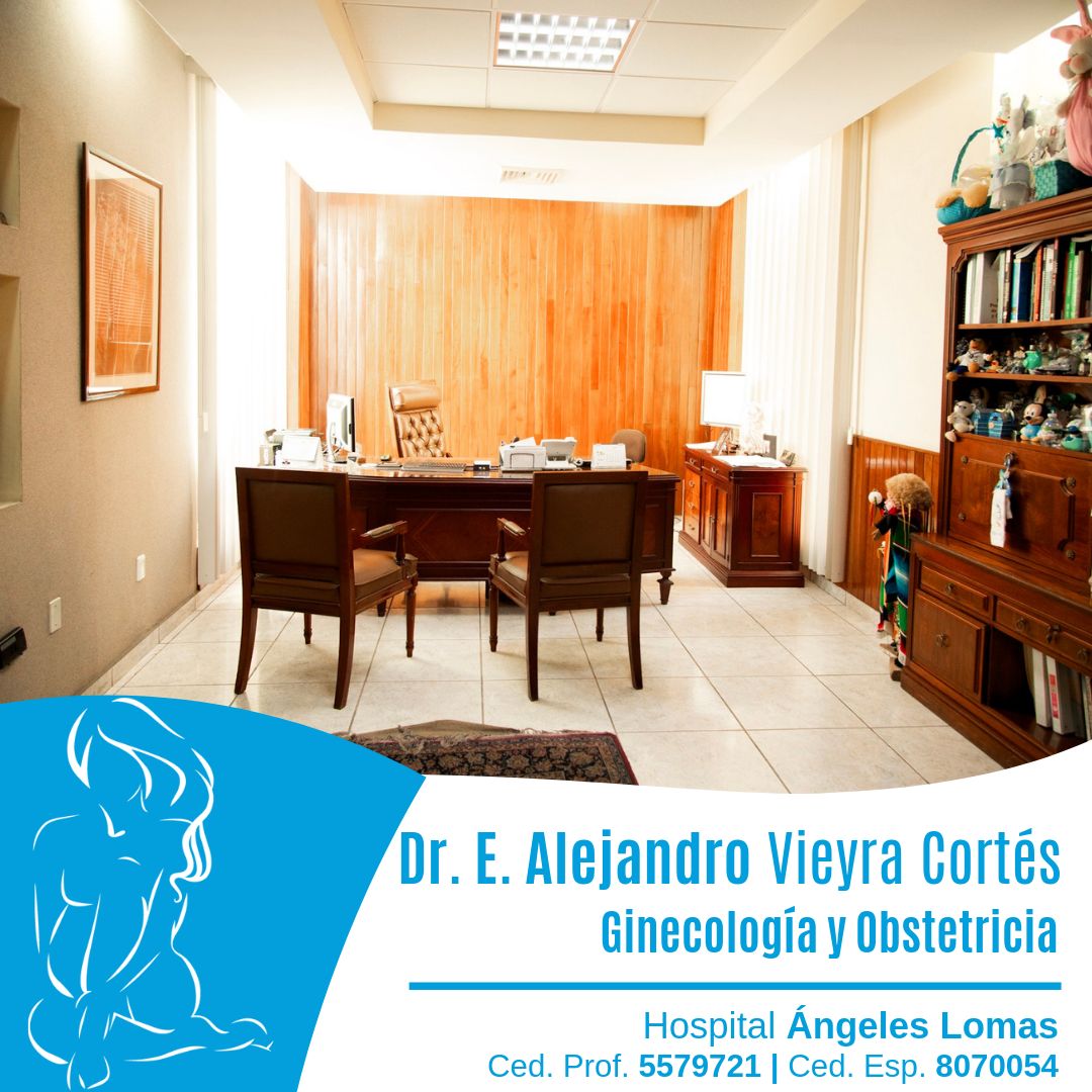 Edmundo Alejandro Vieyra Cortes-4