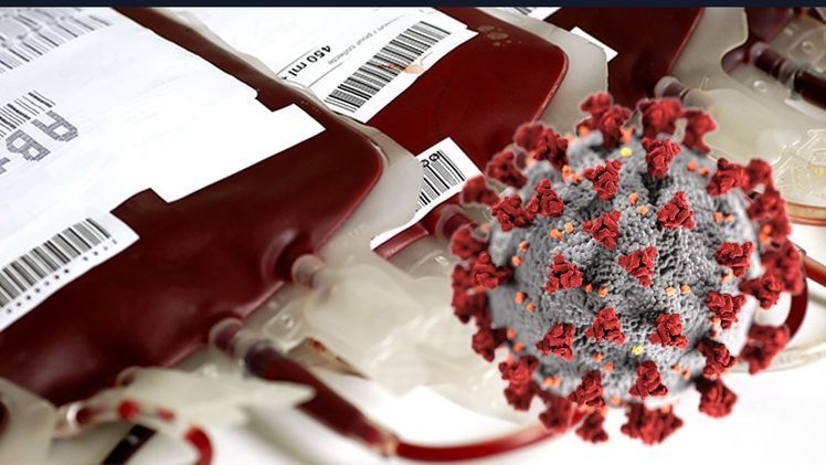 Santa Maricela Ortiz Zepeda-5