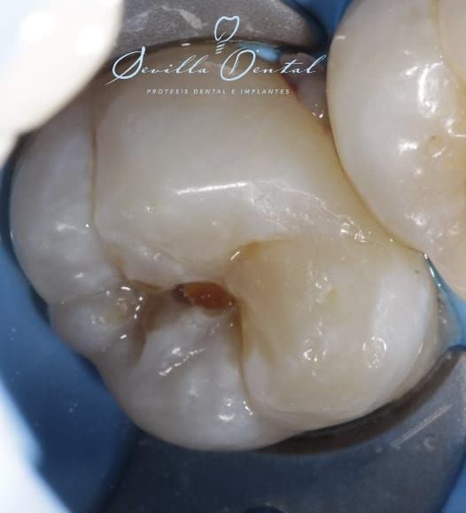 Gemma Marlene Sevilla Olmedo-5