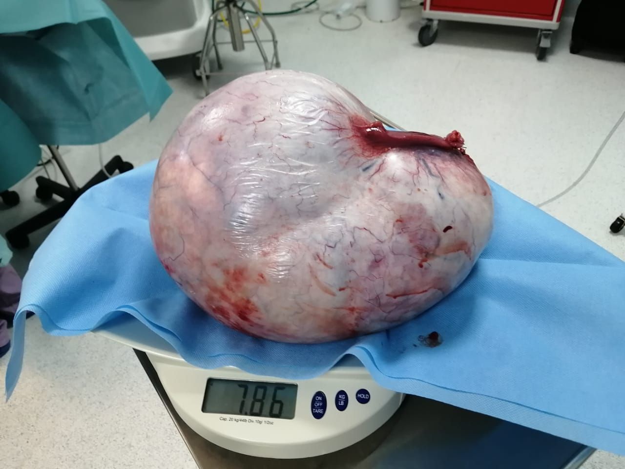 César Espejel Valdés-25