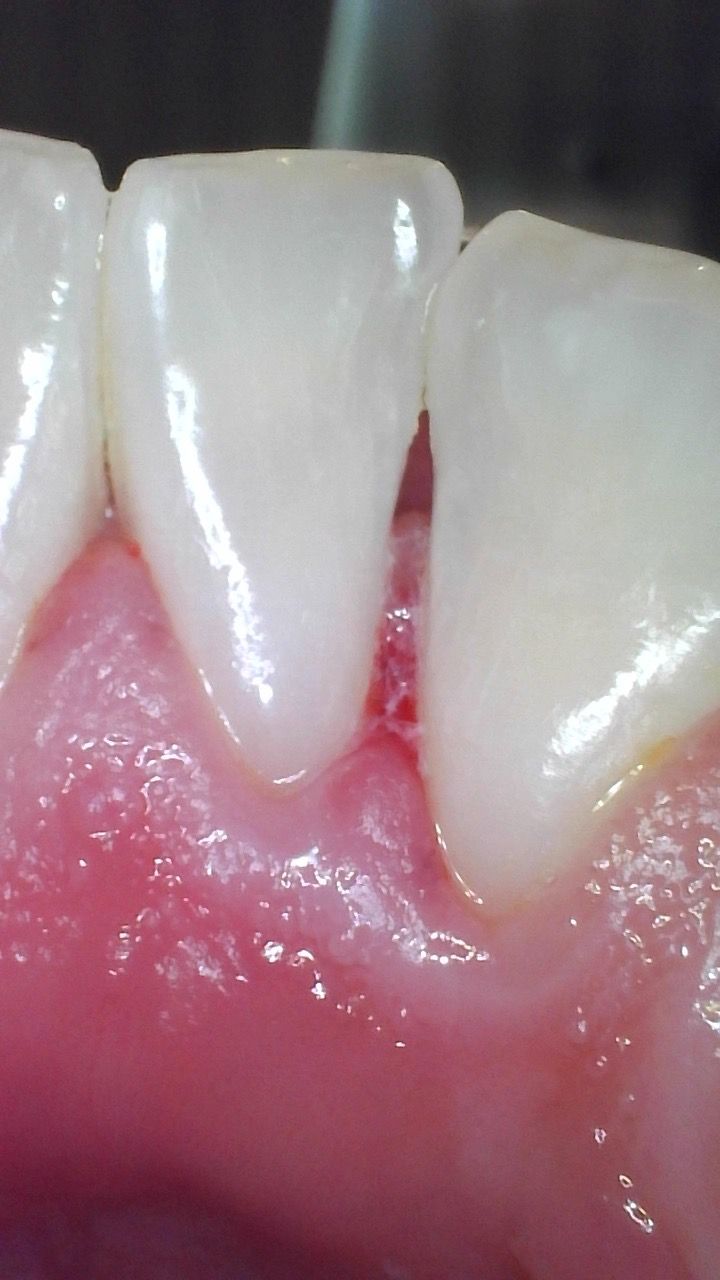 Francisco Jose Vives Serrano-12