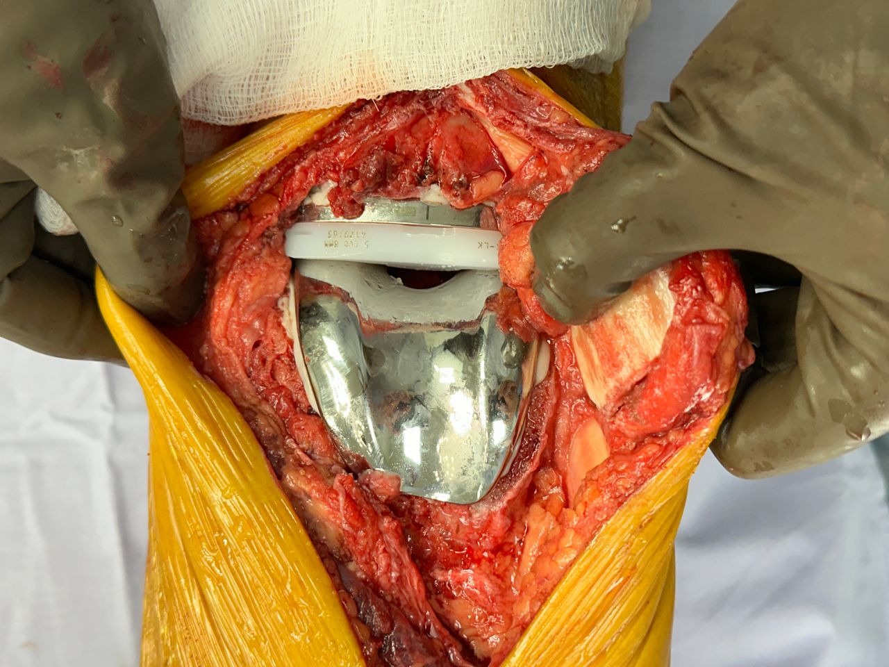 Eduardo Santibañez Rodríguez-1