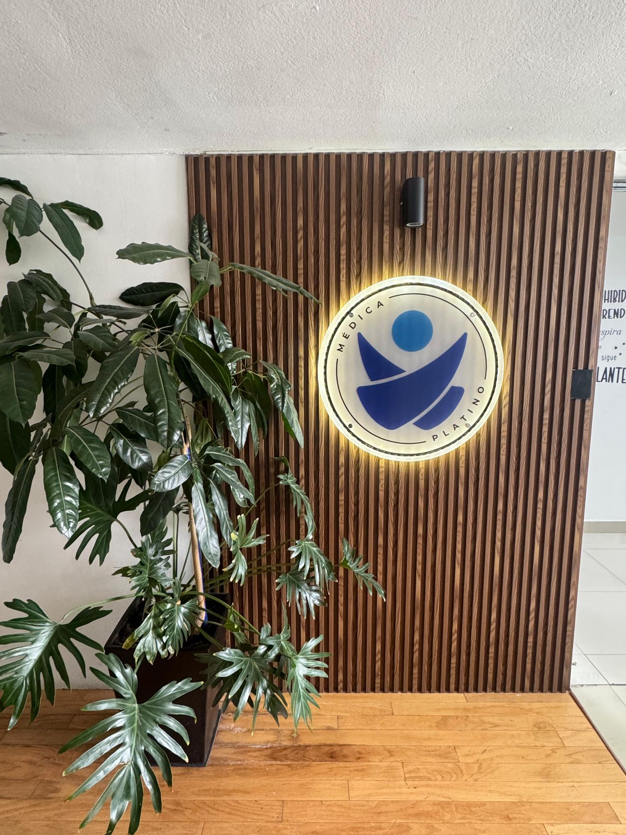 Ana Karem Saucedo Pruneda-1