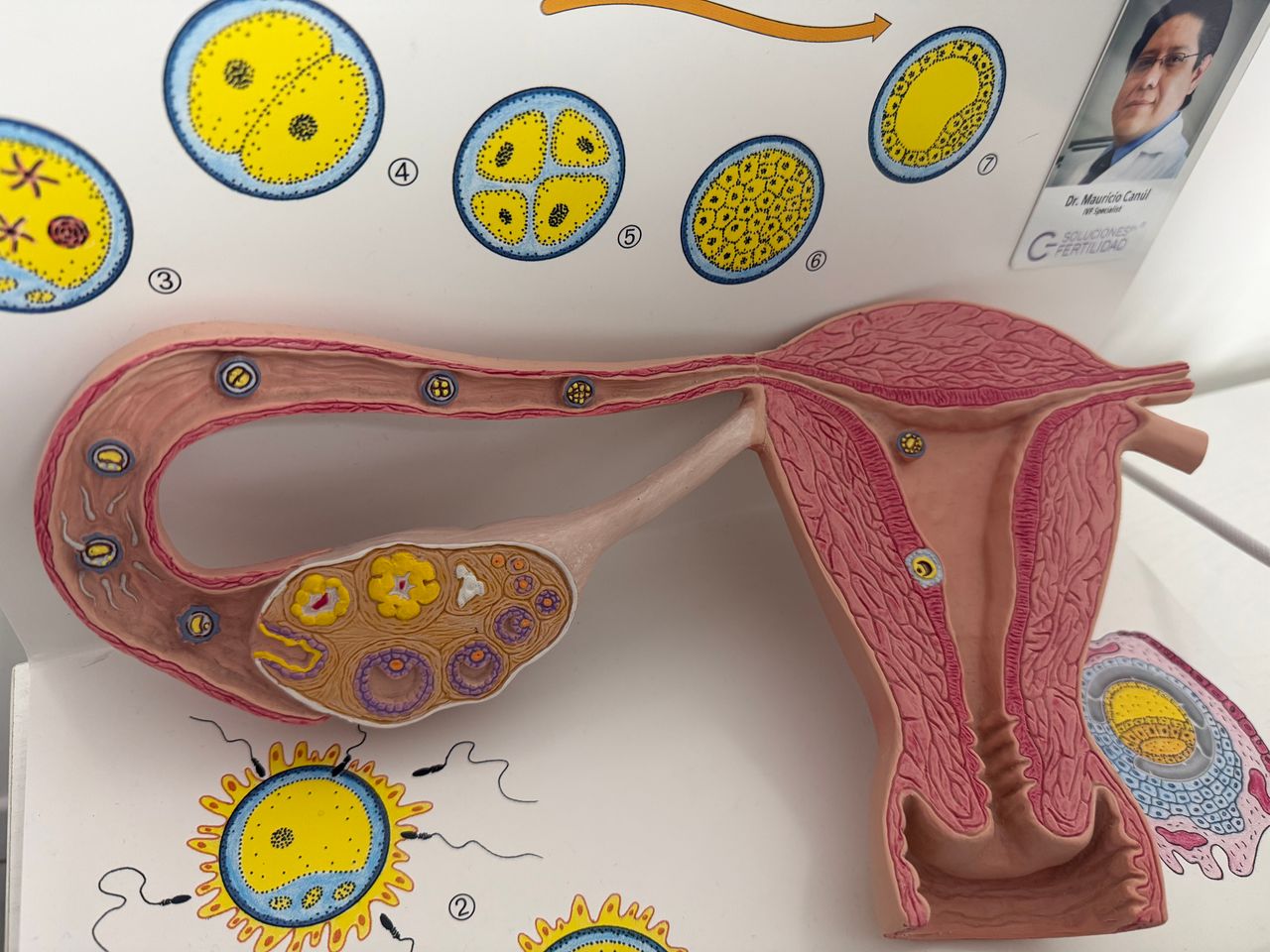 Mauricio Isaac Canul Rojas-2