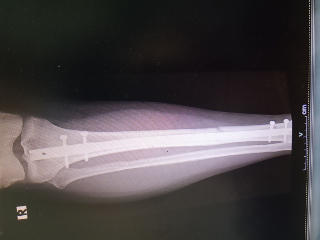 Rodrigo F. Durán Martínez-10