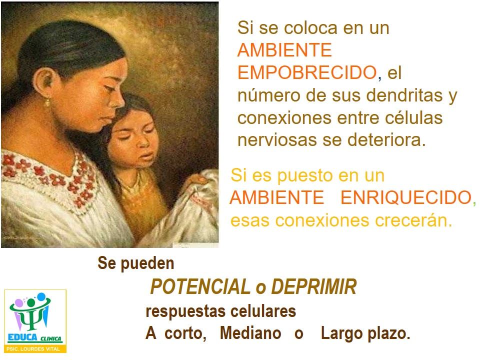 Maria De Lourdes Vital Martin-32