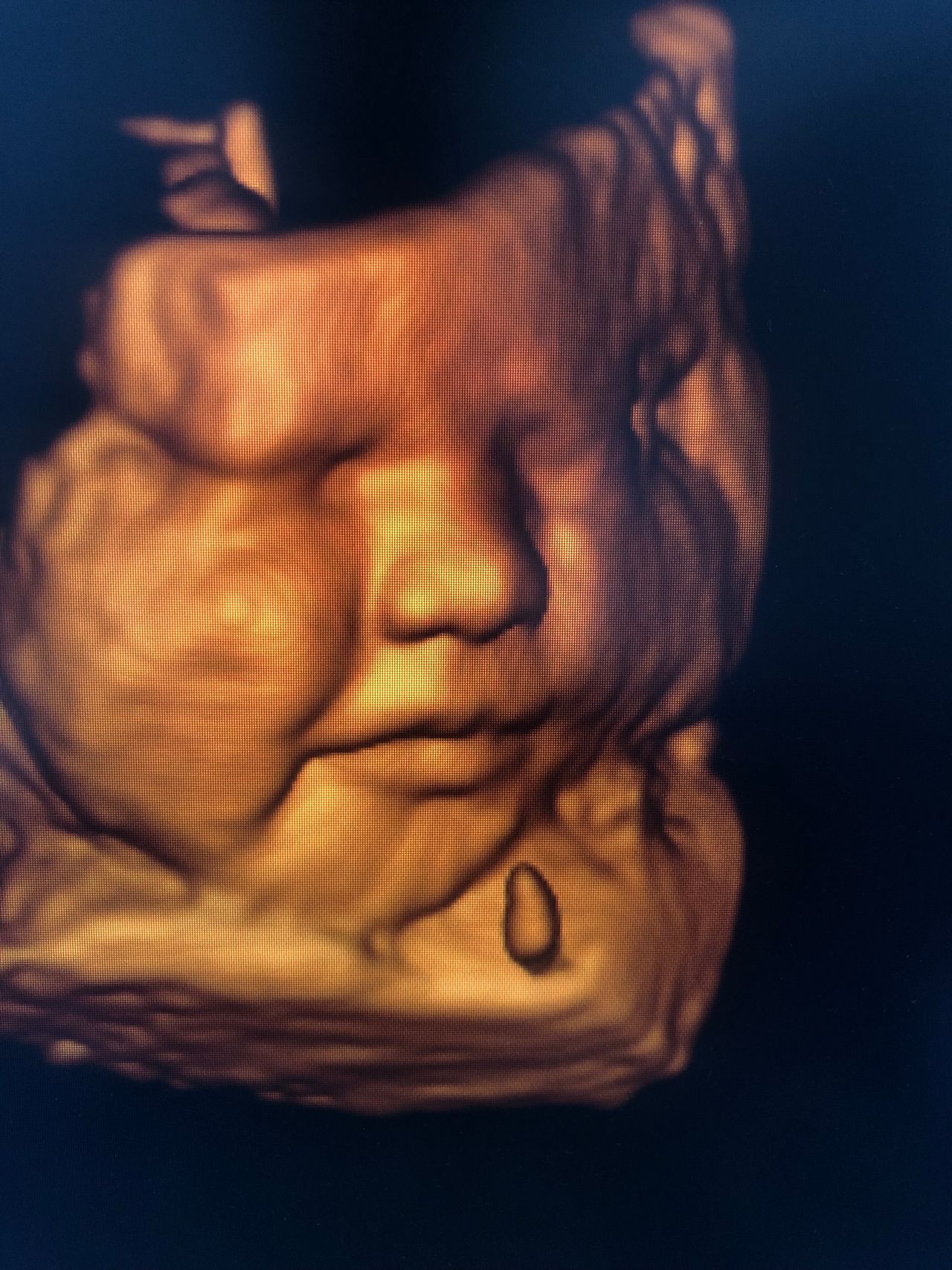 Hermilo Sagarnaga Bejarano-0