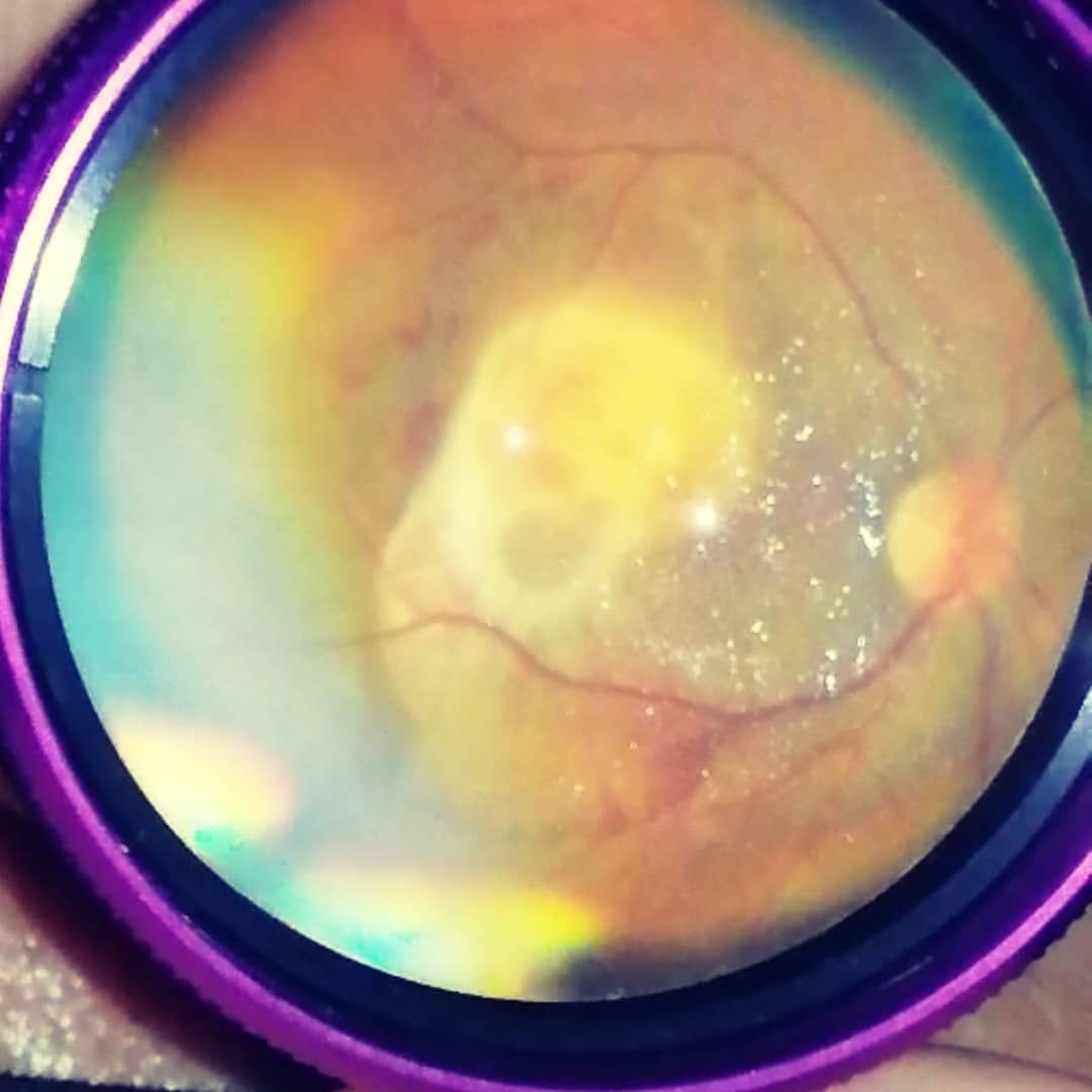 Dalia Méndez Marín-7