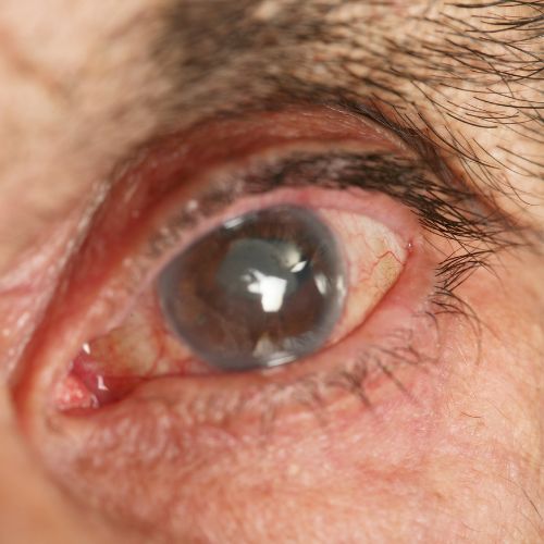 Miriam Adriana Ramos Hdez.-3