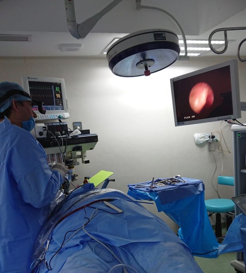 Roberto Alvarado Olivares-0