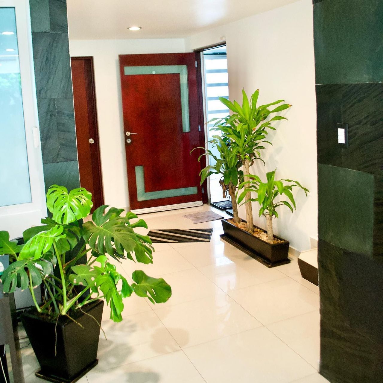 Guillermo Nahúm López Sanchez-1