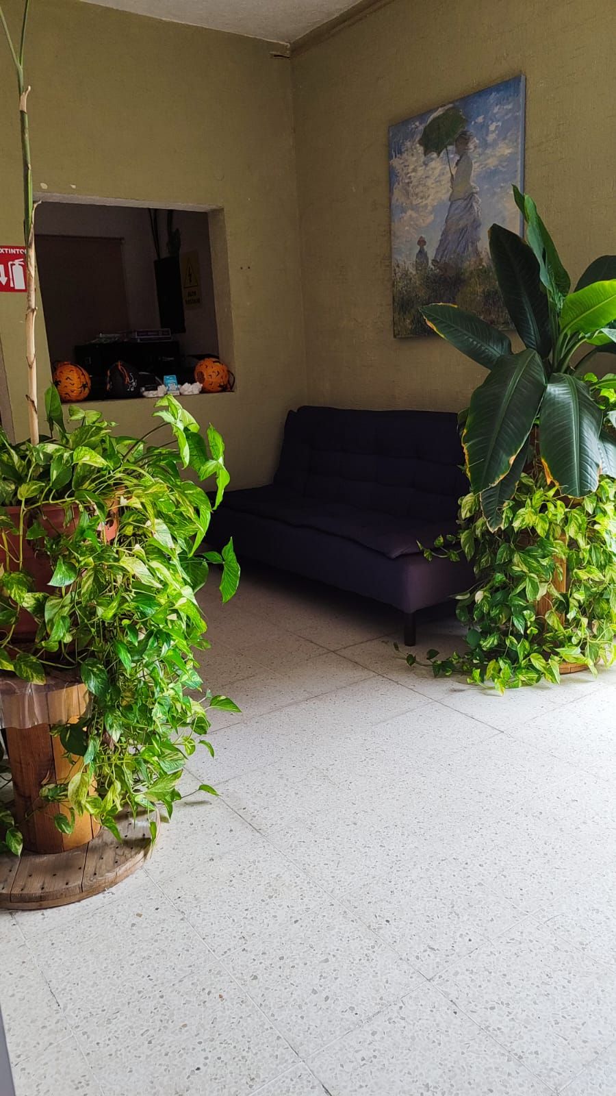 Jazive Morales Méndez-4