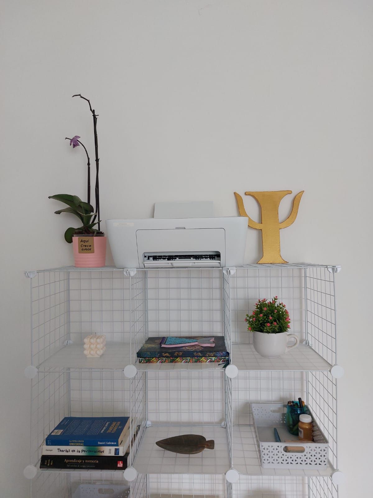 Maribel Jiménez Morales-0