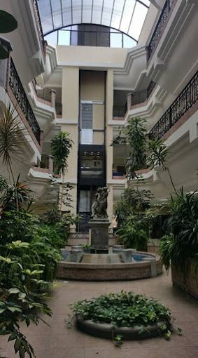 Francisco Macías Morfín-3