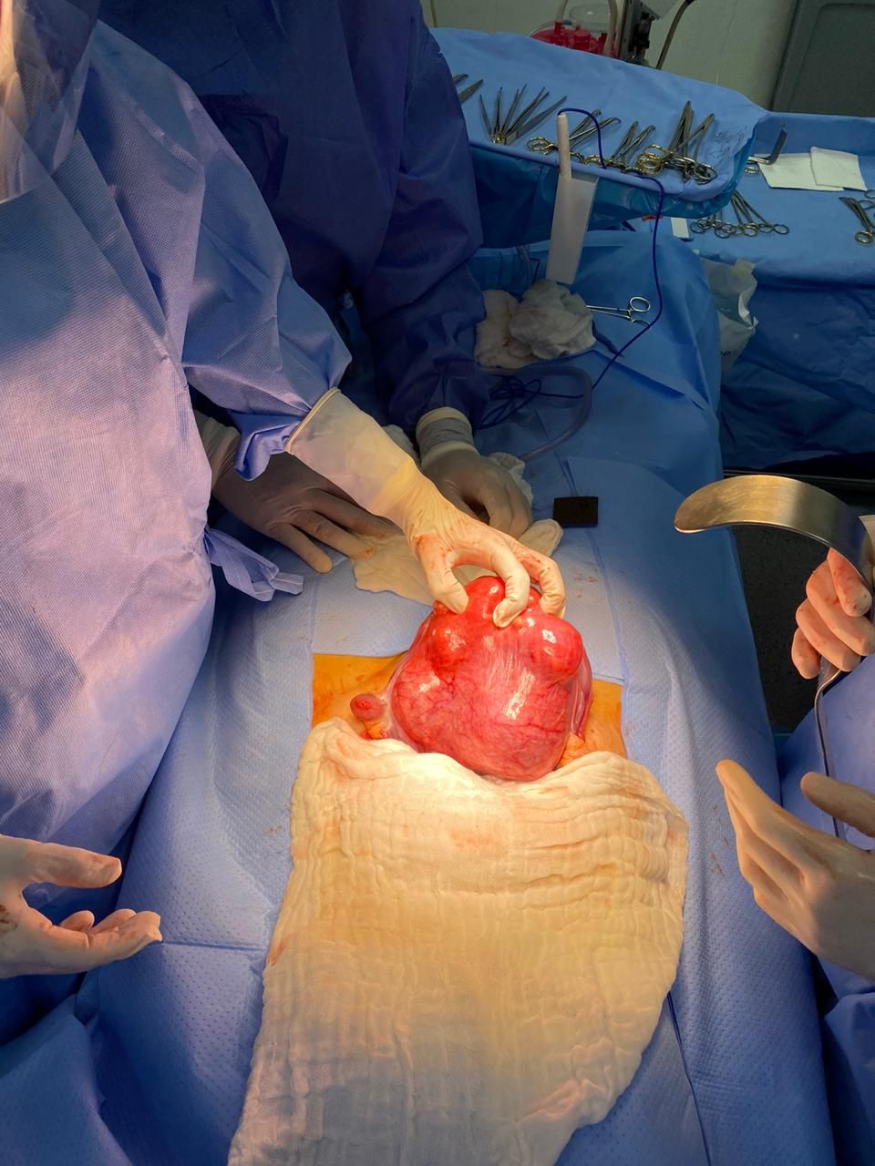 Martha Helena Cabezas Pérez-39