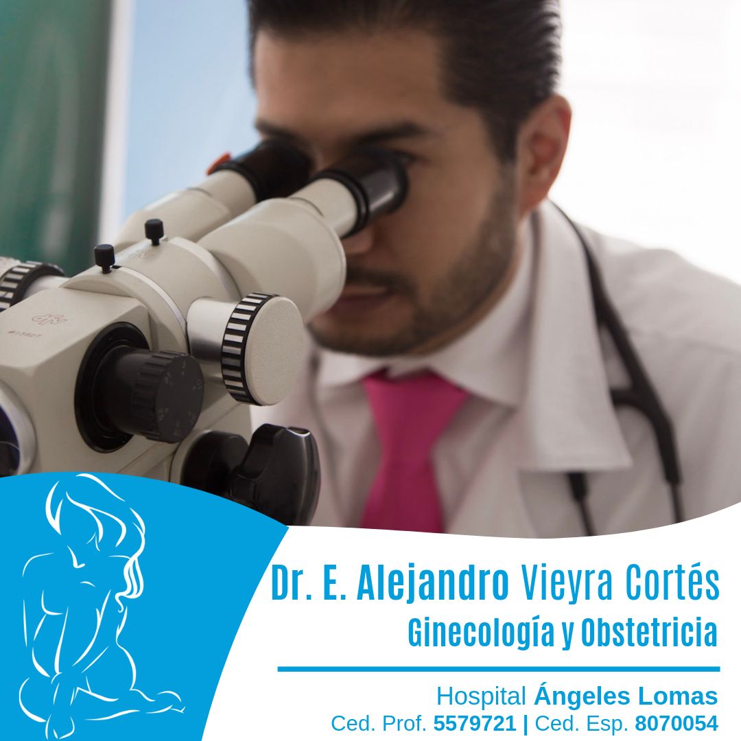 Edmundo Alejandro Vieyra Cortes-13