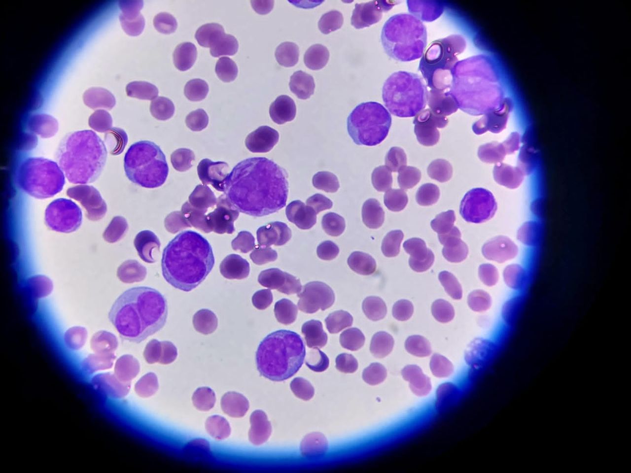 Omar Castillo Peña-4