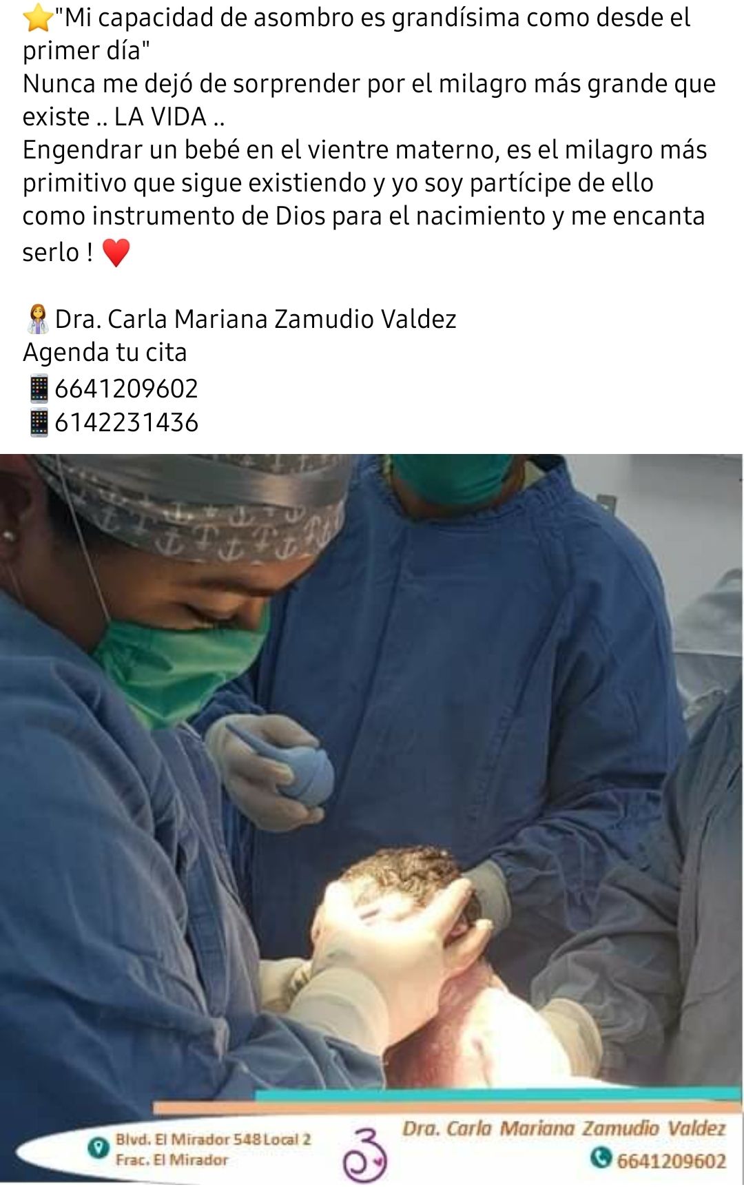 Carla Mariana Zamudio Valdez-0