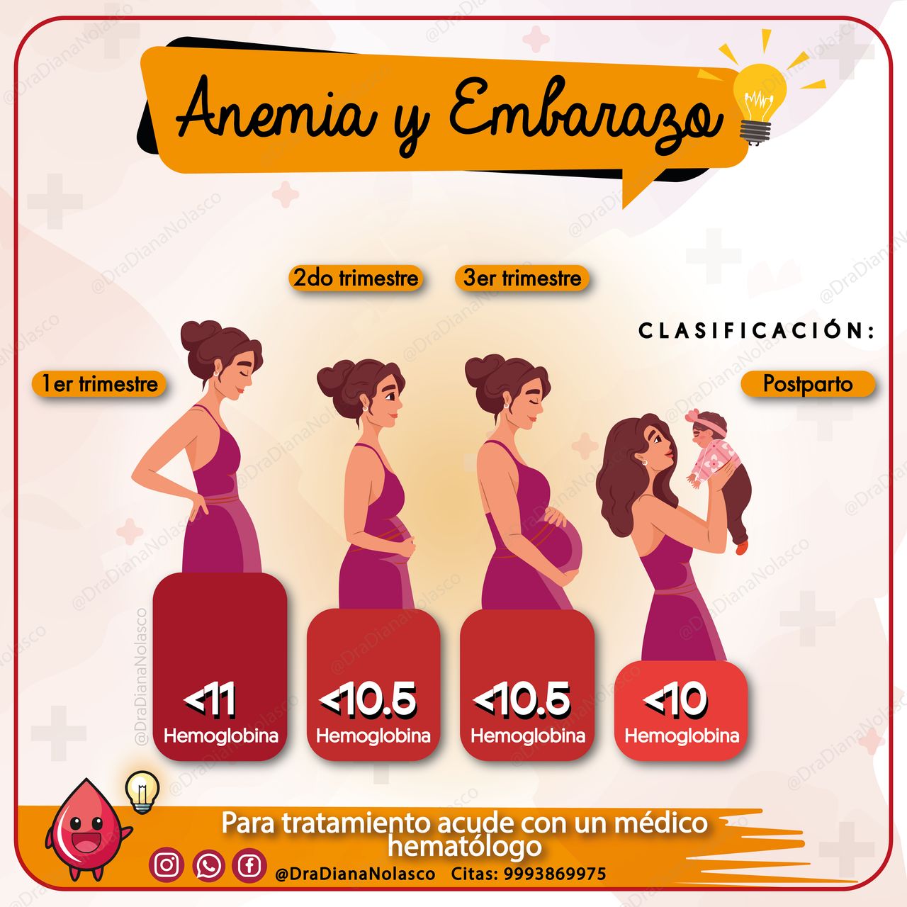 Diana Nolasco Medina-19