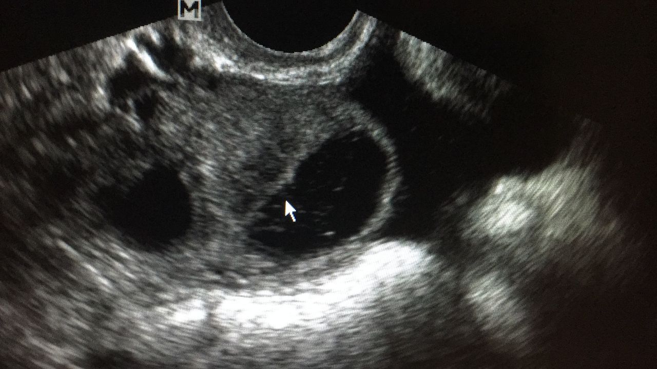 Cristina Ortiz Díaz-0