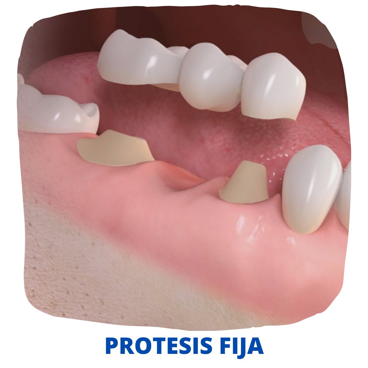 Jorge Benjamin Amezcua Ramos-43