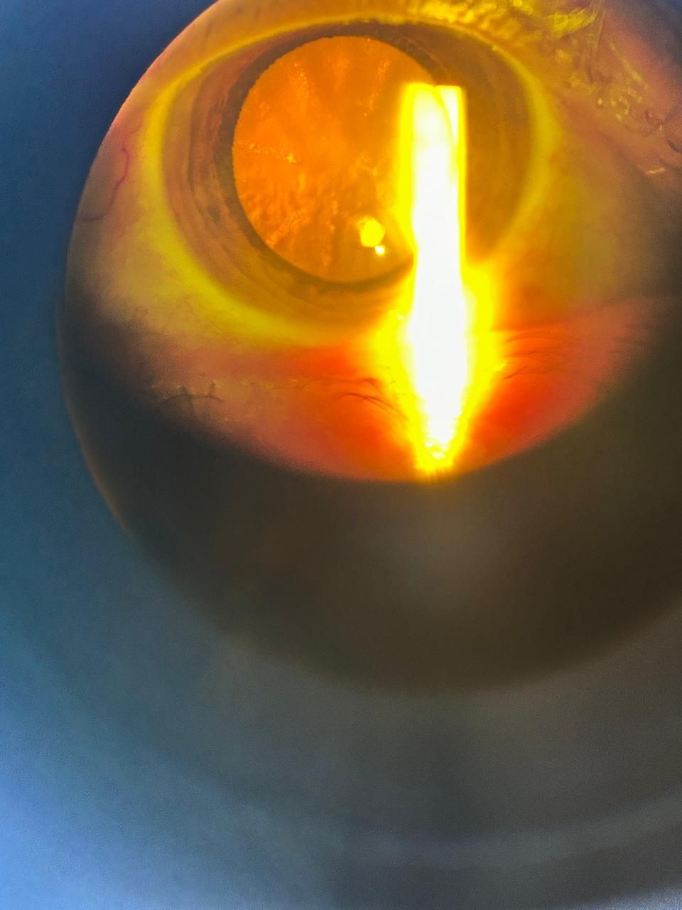 Daniel Martin Laguna Muñoz-37