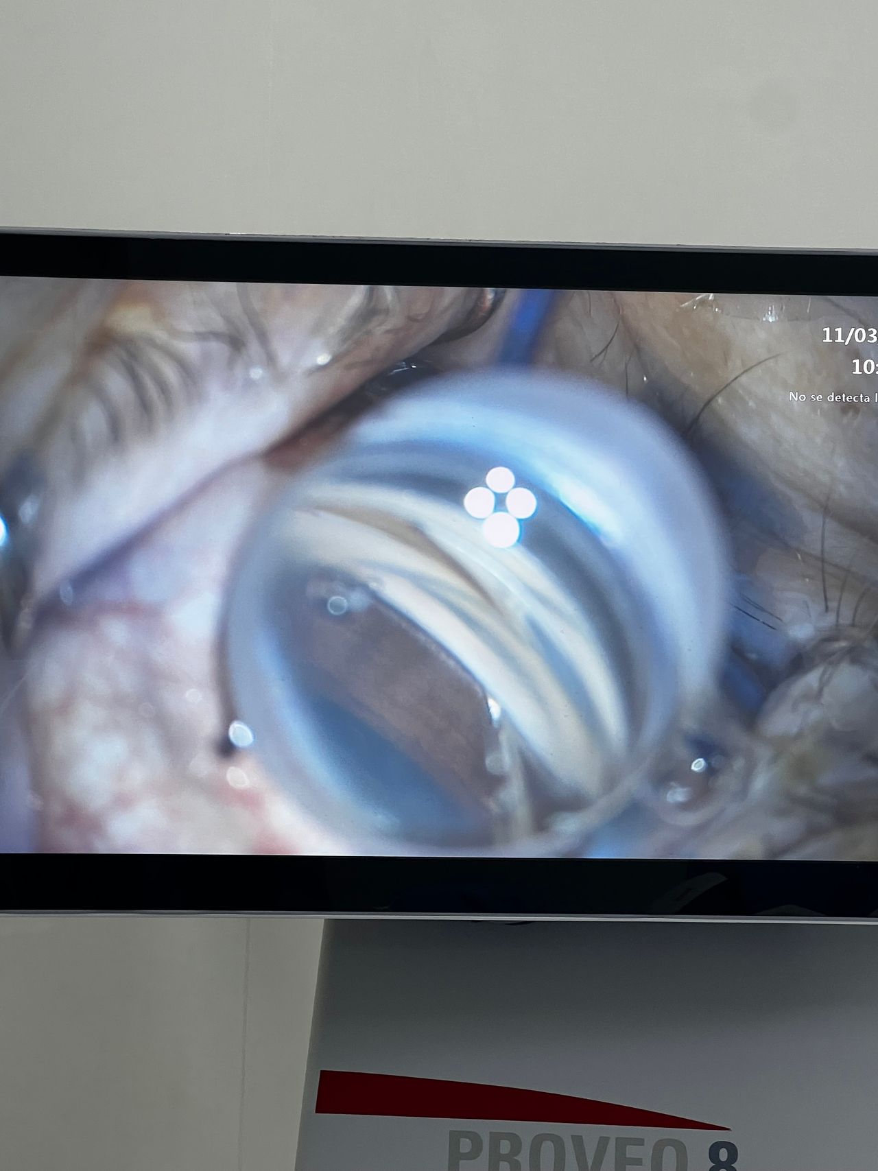 Luis Enrique Hernández Pérez-4